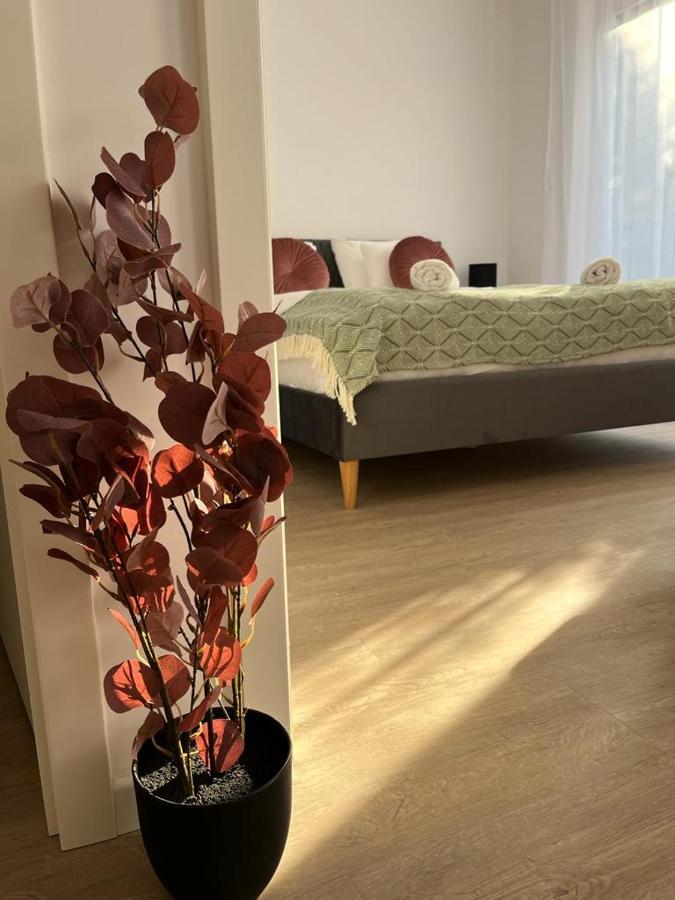Mathias Premium Apartments แซแก็ด ภายนอก รูปภาพ